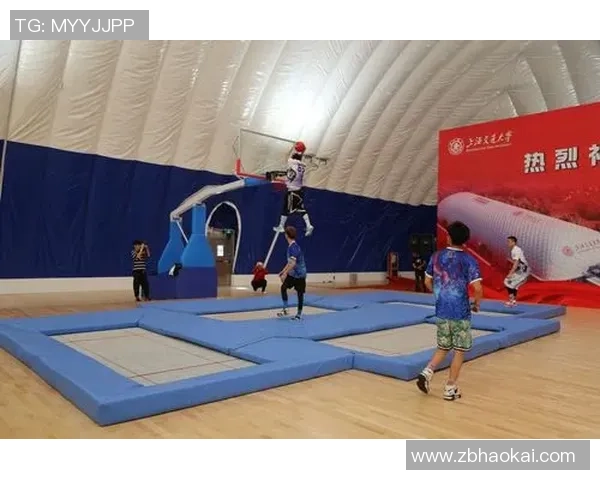 成都极限运动队区域防守战术解析与实战应用探讨