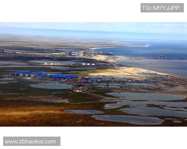 亚马尔地区的能源战略与全球气候变化的互动关系分析